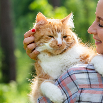 Cat FoodA cat being held and pet by owner outdoors